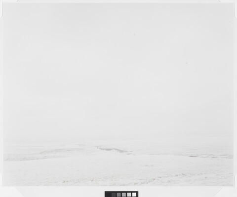 A black-and-white photograph of a white, snow-covered landscape with scattered hints of rocks or vegetation against a white sky.