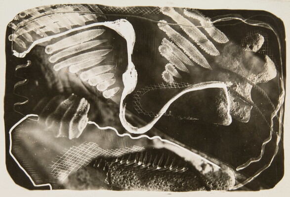 An abstract black-and-white photograph of overlapping forms reminiscent of coral, shells, rope, and bone.