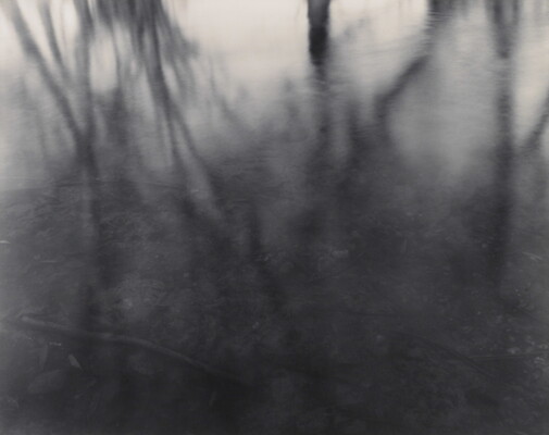 A black-and-white photograph of slightly rippled water reflecting leafless trees and branches on its surface.