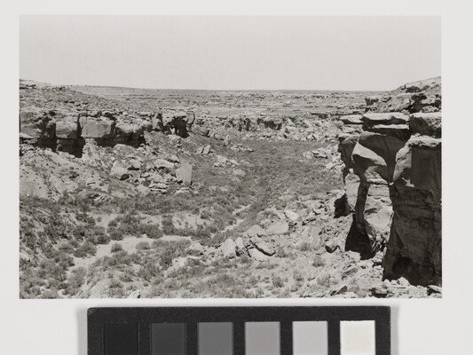 A black-and-white photograph of a scrubby desert landscape framed by high rocks and cliffs.