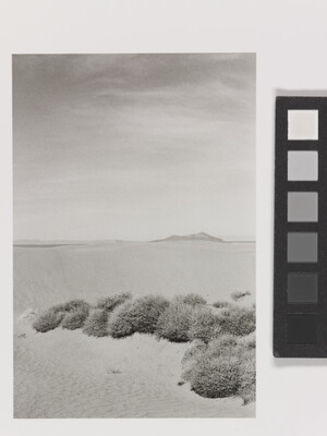 A black-and-white photograph of a desert landscape with scrubby vegetation in the foreground and mountains in the distance.