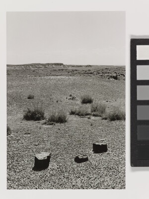 A black-and-white photograph of a desert landscape with sparse vegetation and three rocks in the foreground.