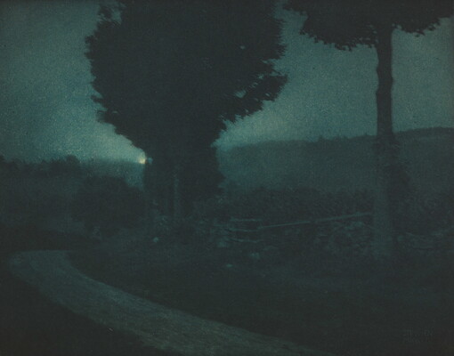 A black-and-white photograph of a tree-lined road in a dark, moonlit landscape.
