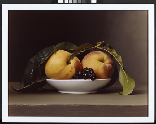 A color, still life photograph of two peaches, a sprig of blackberries, and several large, green leaves in a shallow, white bowl.