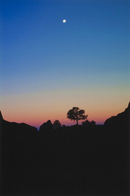 A color photograph of the moon high in a deep blue sky above mountains and trees silhouetted against a purple and yellow sunset.