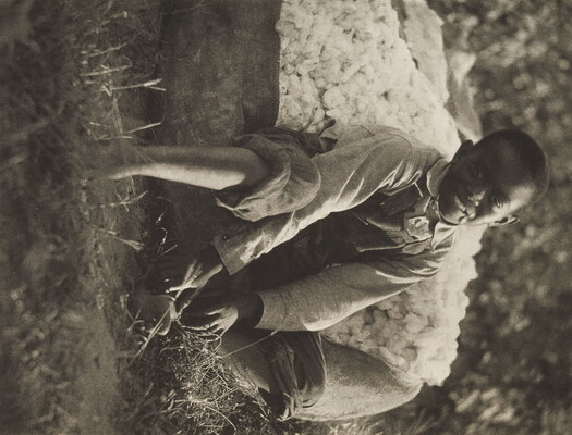 A black-and-white photograph of a smiling young Black boy sitting on a bag of cotton.