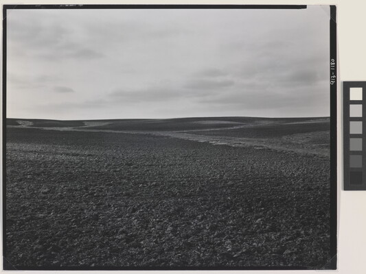 A black-and-white photograph of a dirt landscape with subtle hills under a cloudy sky.