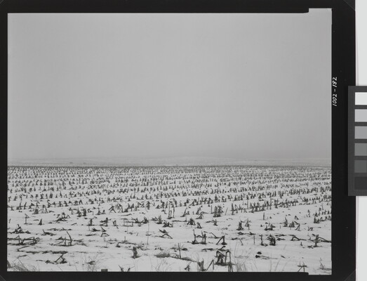 A black-and-white photograph of a flat landscape with snow partially covering dead crops under a cloudy sky.