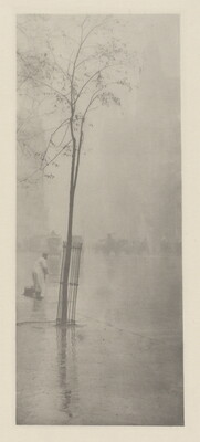 A soft-focus, black-and-white photograph of a tree growing in the middle of wet pavement with a person in the distance.