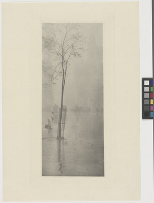 A soft-focus, black-and-white photograph of a tree growing in the middle of wet pavement with a person in the distance.