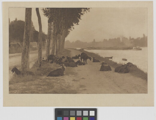 A sepia-toned photograph of a group of goats lying on a dirt path near a river.