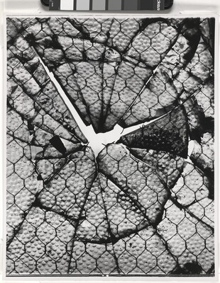 A black-and-white abstract photograph of light coming through textured glass reinforced with wire that has shattered into a pattern resembling a tree ring.