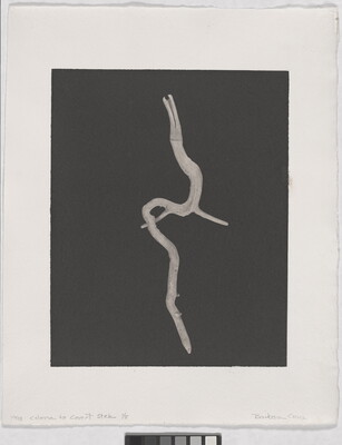 A black-and-white photograph of a curving, water-worn wooden stick on a black background.