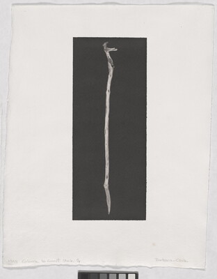 A black-and-white photograph of a mostly straight, smooth, water-worn wooden stick on a black background.