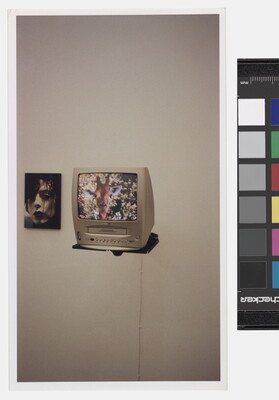 A color photograph of a photograph of a person's face mounted on a wall next to an old-style tv/VCR color screen on a shelf showing the head of a giraffe.