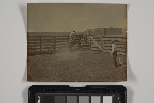 A black-and-white photograph of a man trying to stay seated on his rearing horse in a corral as another man watches.