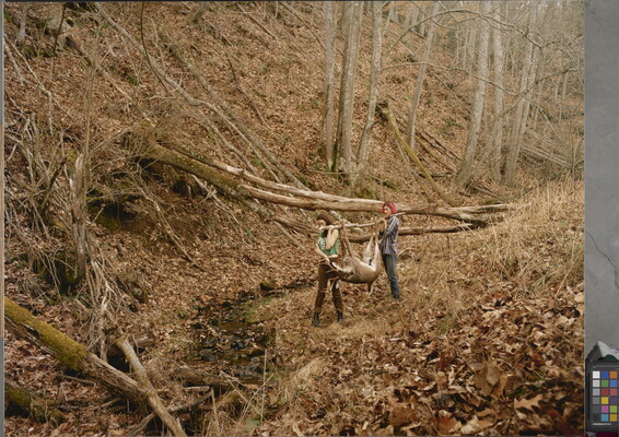 A color photograph of two people in the woods holding a dead deer on a stick between their shoulders.