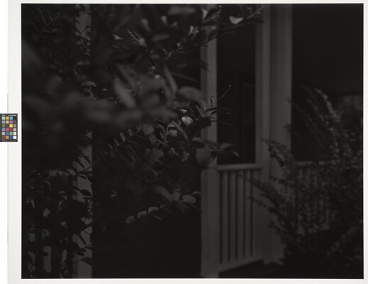 A black-and-white photograph of a porch viewed through the leaves of bushes at night.