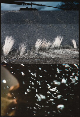A color photograph collage of four tightly cropped images (T-B): a helicopter propeller; an aerial view of land dotted with trees; tufts of grass growing in the dirt; a person's nose and mouth blowing what looks like snowflakes.