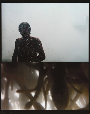 A color photograph collage of two images (T-B): a person standing in the rain; an abstract view of what looks like a close up of insects among plants.