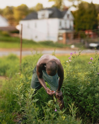 A color photograph of a Black man bent over a purple flower in what looks like a neighborhood garden.