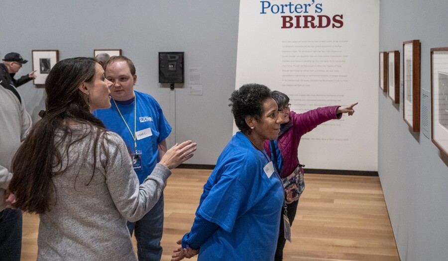 Four people stand in a gallery looking at and gesturing toward art on the wall.