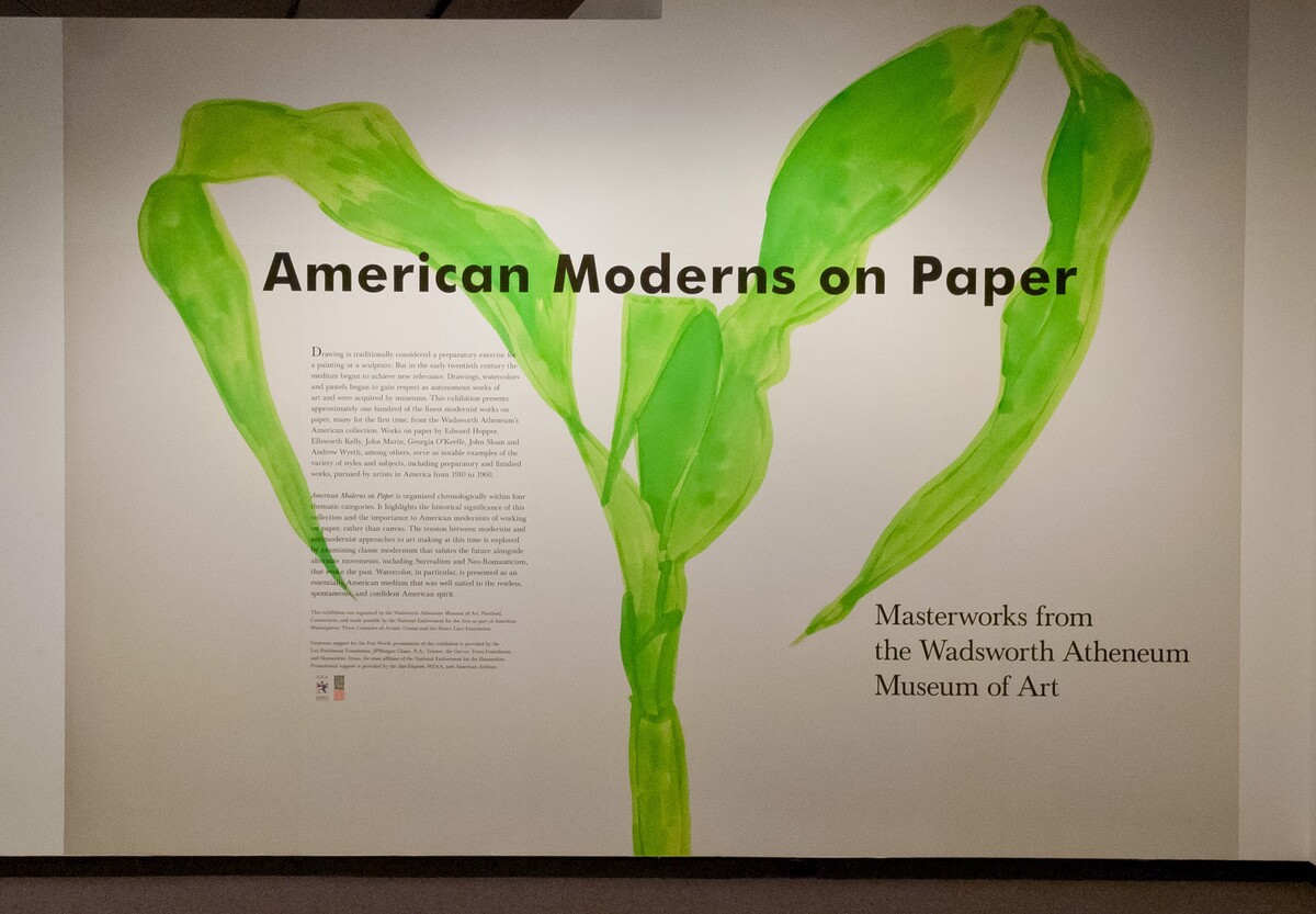 Exhibition title wall for "American Moderns on Paper".