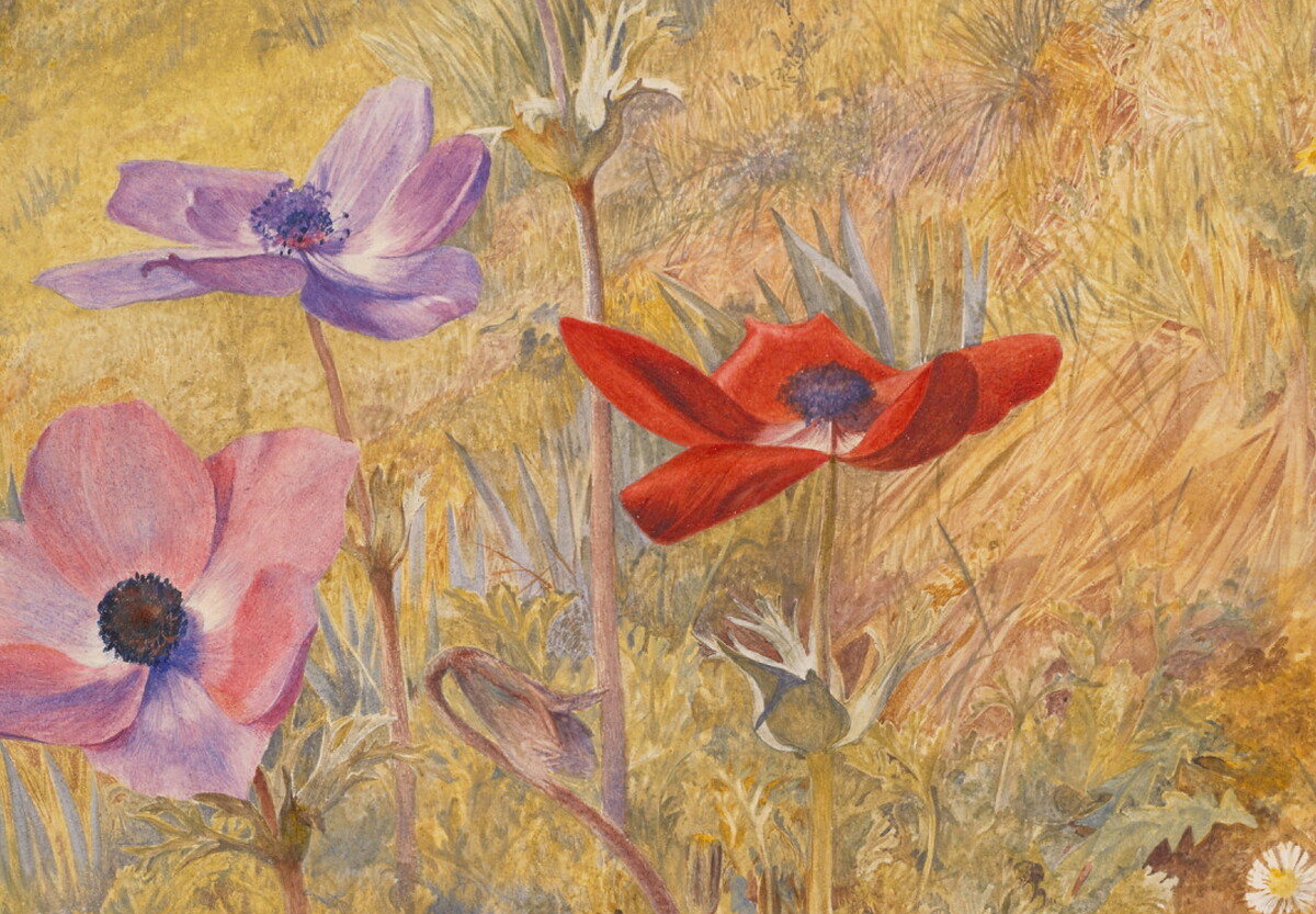 A detail of a watercolor of red and purple flowers blooming on a hillside.