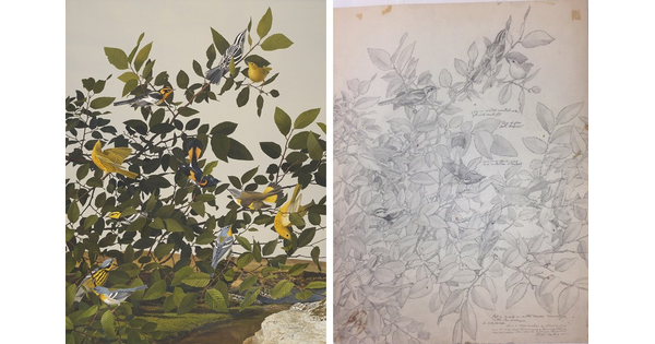 Two works from the &quot;Tracing the Past&quot; exhibition.