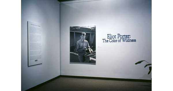 White title wall showing black and white photo of the artist.