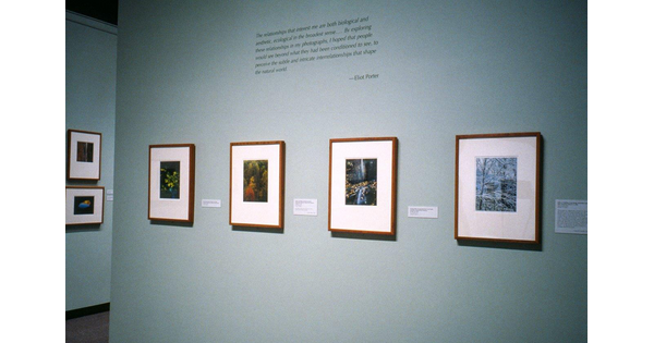 Four framed color photographs hang on a blue wall under a quote from the artist.