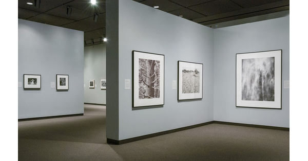 View of a gallery with light gray walls; framed photographs hang on them - three in one corner and two in another.