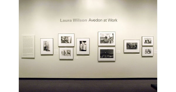 Gallery title wall featuring nine framed photos and a text panel on a cream wall.