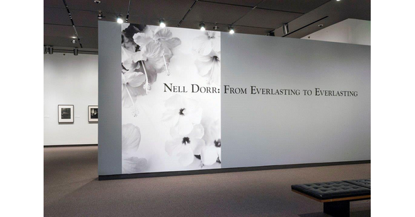 View of a gray exhibition title wall; the left third of the wall features a large reproduction of a photo of flowers.