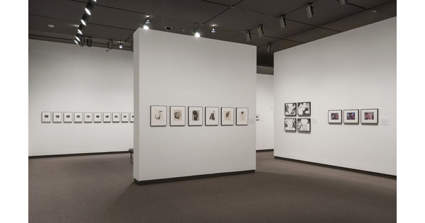 View of a gallery with white walls. Framed photography hangs on all walls.