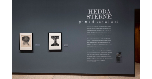 Exhibition title wall with title and introductory text to the right of two framed prints.