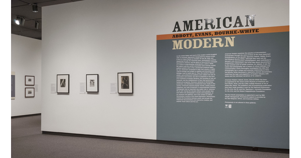 View of a gallery title wall; on the right is the title and exhibition text on a gray background; on the left are three framed photographs on a white background.
