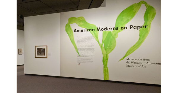Exhibition title wall. Wall is white with a large green plant stem behind the exhibition title; to the left is a framed print.