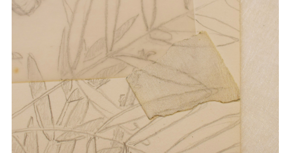 Detail showing a graphite drawing on the tape.