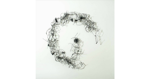 A wall sculpture of delicate twigs and stems arranged to make a shape like an uppercase G.