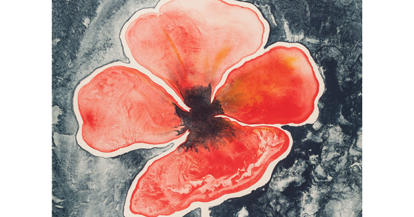 An abstract color print of a single red flower with a black and gray background.