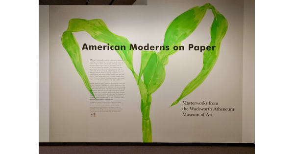 Exhibition title wall for &quot;American Moderns on Paper&quot;.