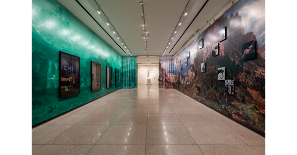 A photo of a Carter gallery with four large framed photographs on a green-tinted landscape on the left, and a large reproduction of an Albert Bierstadt print on the right.
