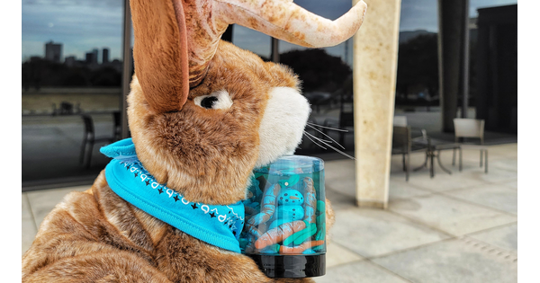 Prickles the jackalope holds a snow globe in his paws on the front steps of the Carter.