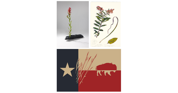 A collage of images from the exhibition &quot;Trespassers: James Prosek and the Texas Prairie.&quot;