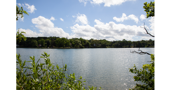 A view of a lake from behind trees on a sunny day.