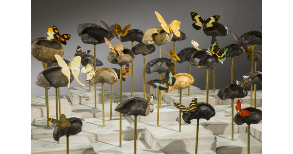 Multiple bones mounted atop gold rods with butterflies attached to each creating a sort of &quot;forest.&quot;