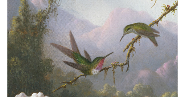 A detail of an oil painting of two hummingbirds on a twig above a white orchid in a jungle setting.