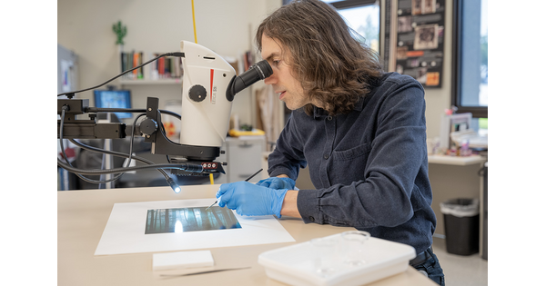 A White man with longish dark hair looks into a microscope-like device to view details on the photograph beneath it.