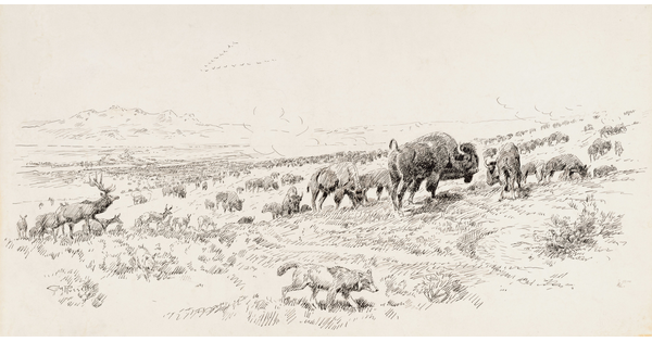 A black-and-white drawing of elk, bison, and coyotes on the open plains.